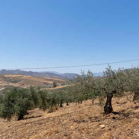 Casa Los Olivos Alora - Caminito Del Rey المظهر الخارجي الصورة
