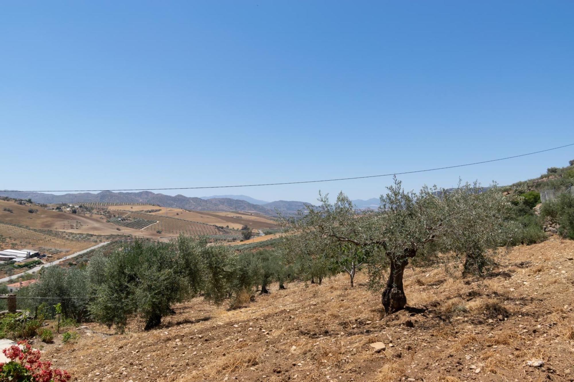 Casa Los Olivos Alora - Caminito Del Rey المظهر الخارجي الصورة